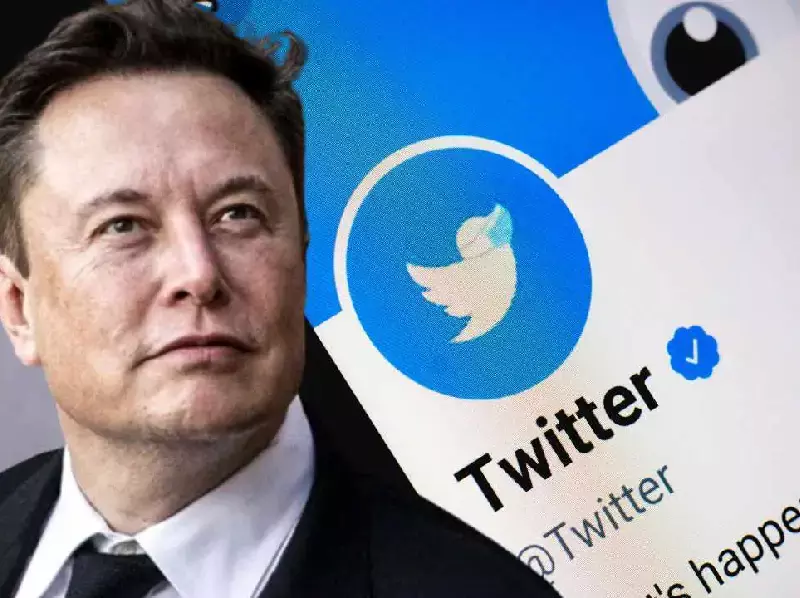 Elon Musk renamed Twitter 'X'. Regal actions they may face