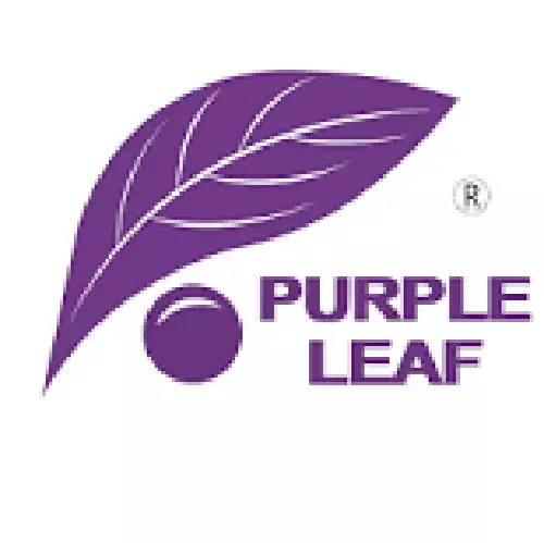 Purple Leaf